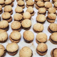 BISCOTTI TE 6